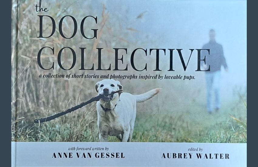 The Dog Collectgive — Anne Van Gessel and Aubrey Walter