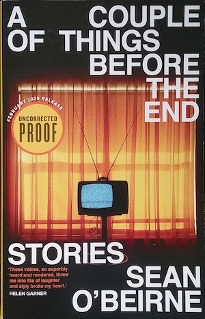 A Couple of Things Before the End: Stories by Sean O'Beirne (book)